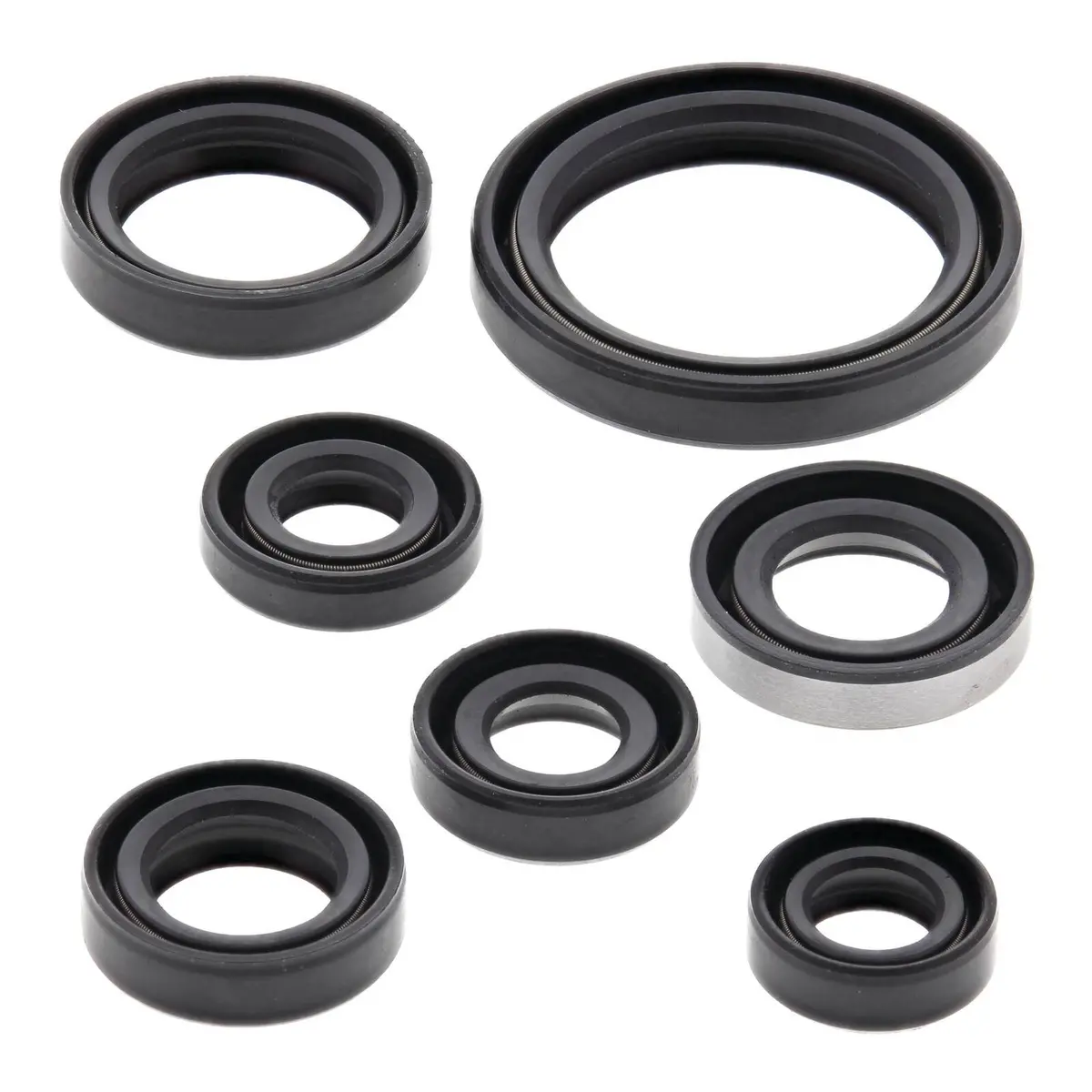 Oil Seal Kit 822193 1