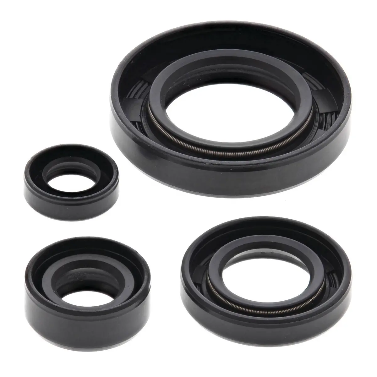 Oil Seal Kit 822195 1