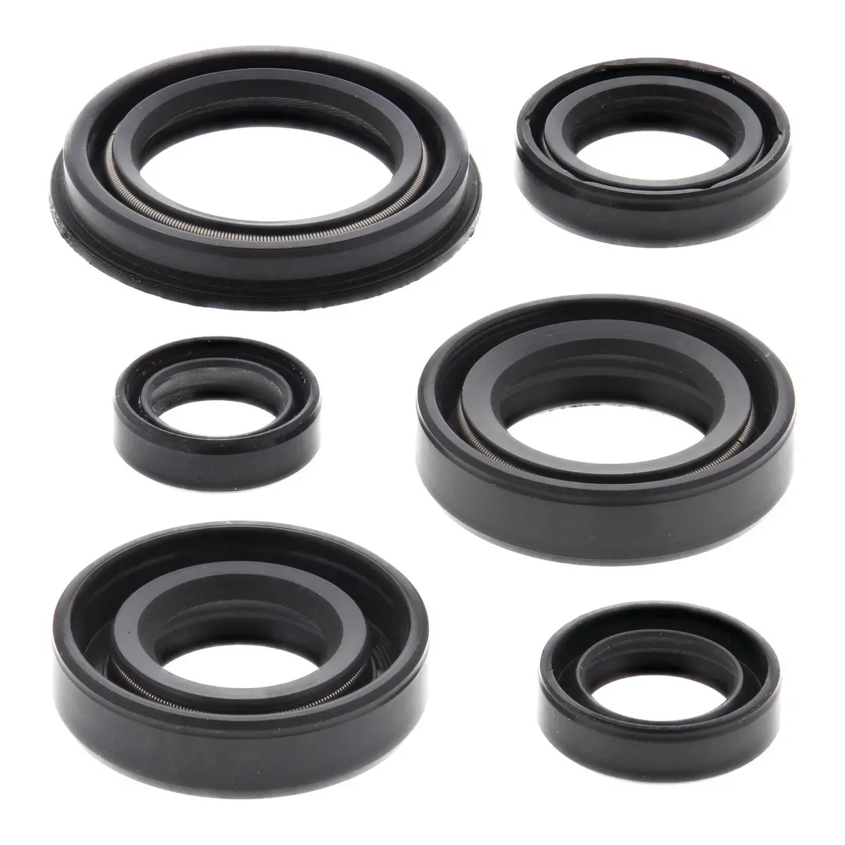 Oil Seal Kit 822220 1