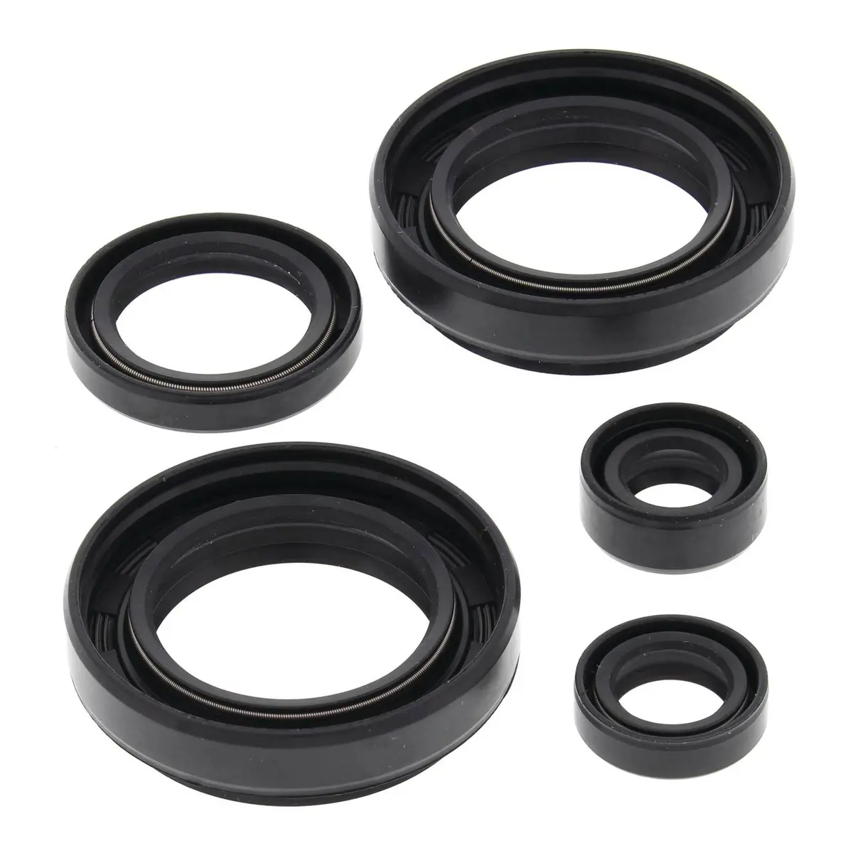 Oil Seal Kit 822234 1