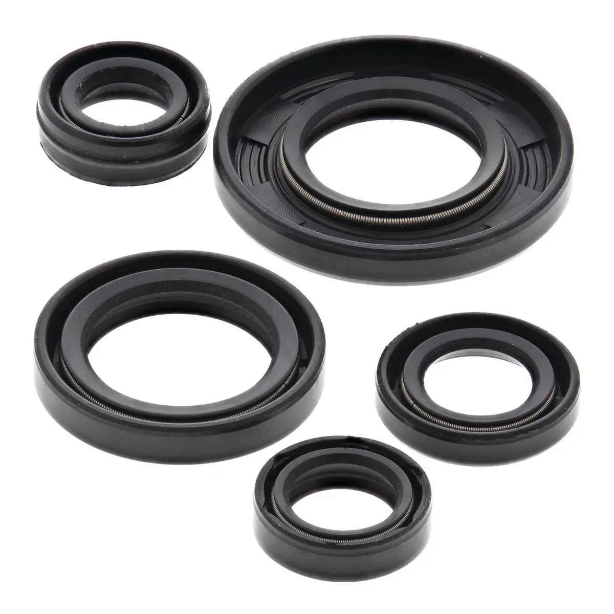 Oil Seal Kit 822240 1