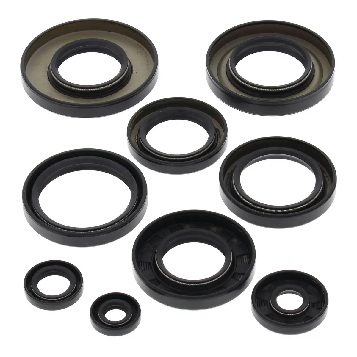 Oil Seal Kit 822247 1