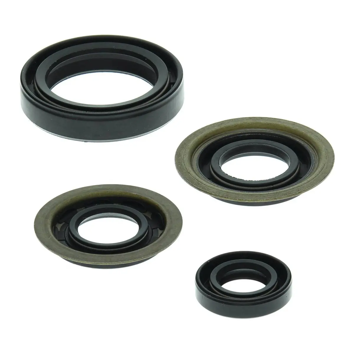 Oil Seal Kit 822273 1