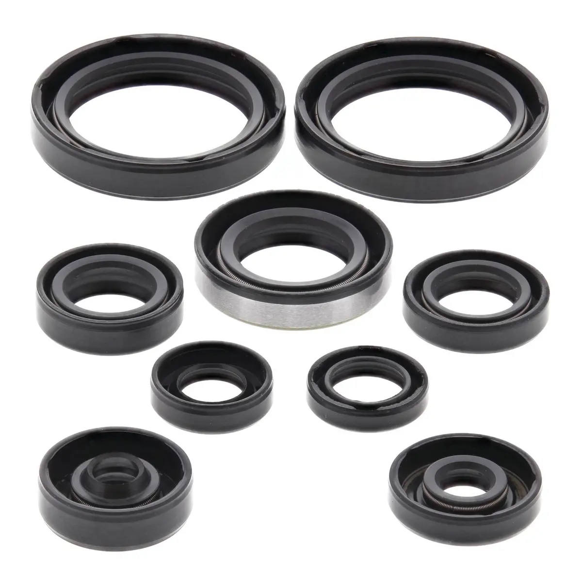 Oil Seal Kit 822316 1