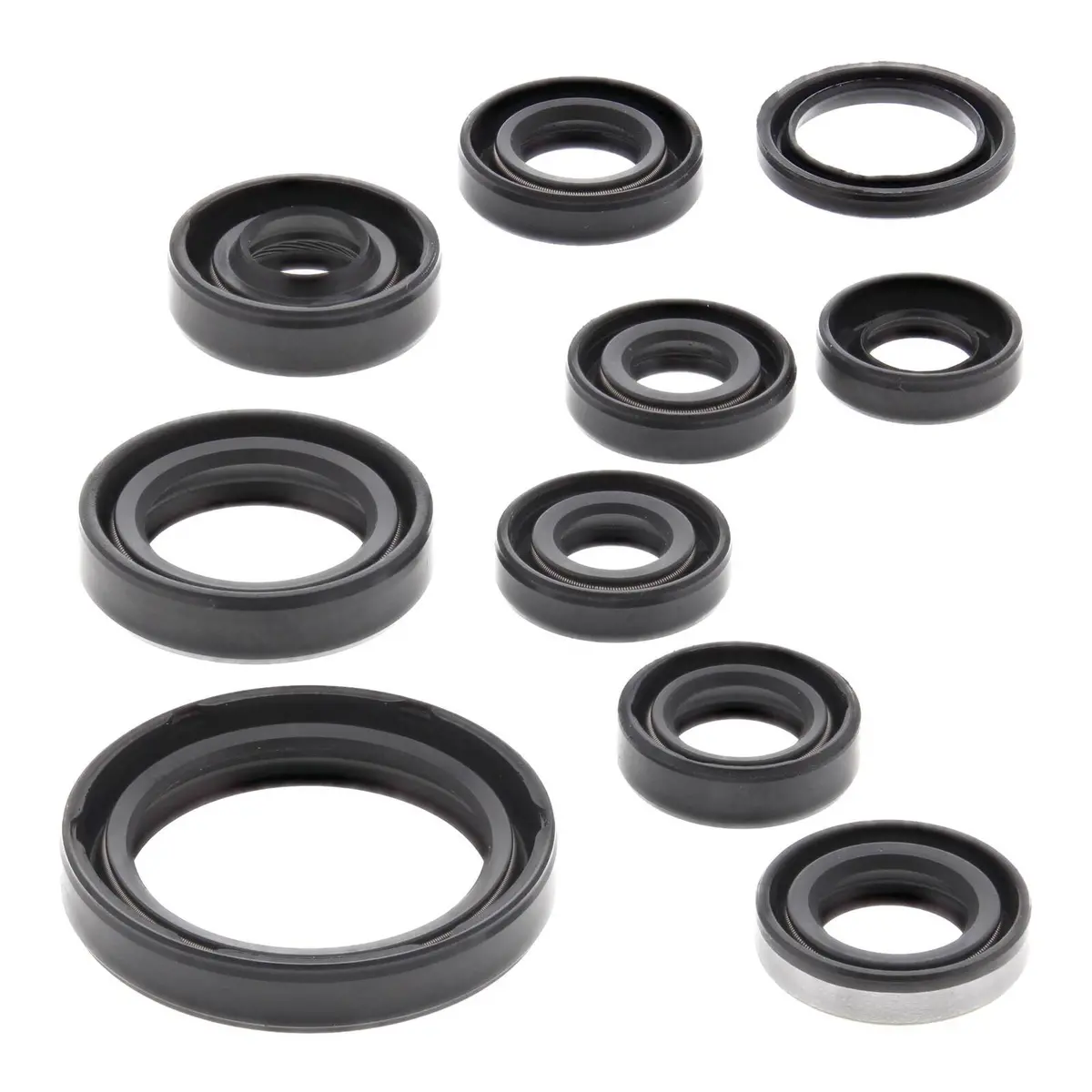 Oil Seal Kit 822319 1