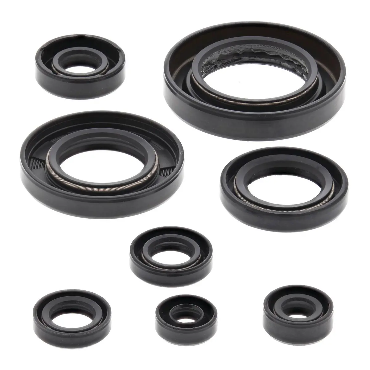 Oil Seal Kit 822354 1