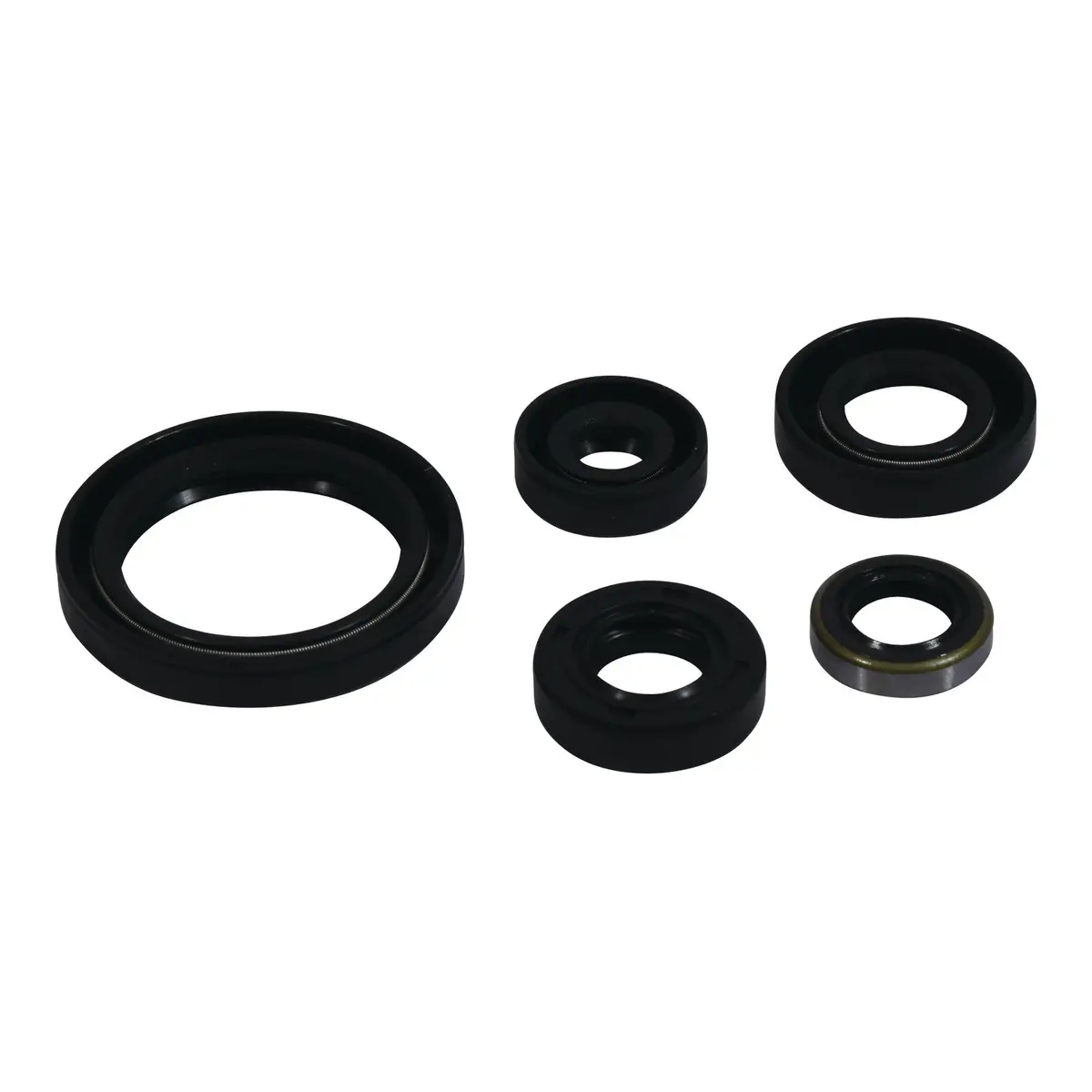Oil Seal Kit 822380 1