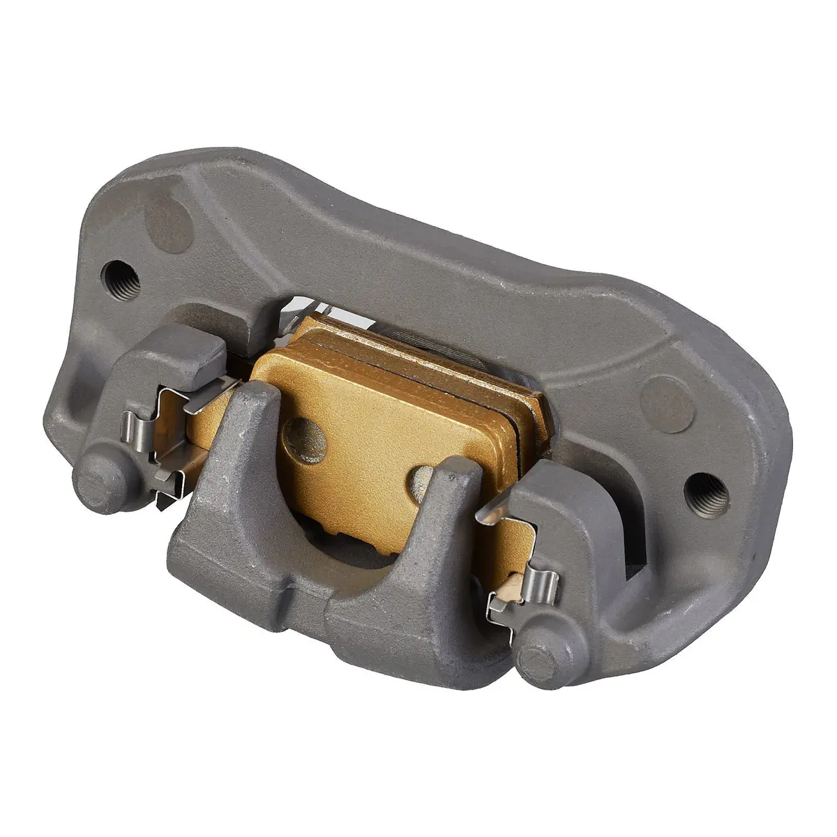 Whites Brake Caliper 1