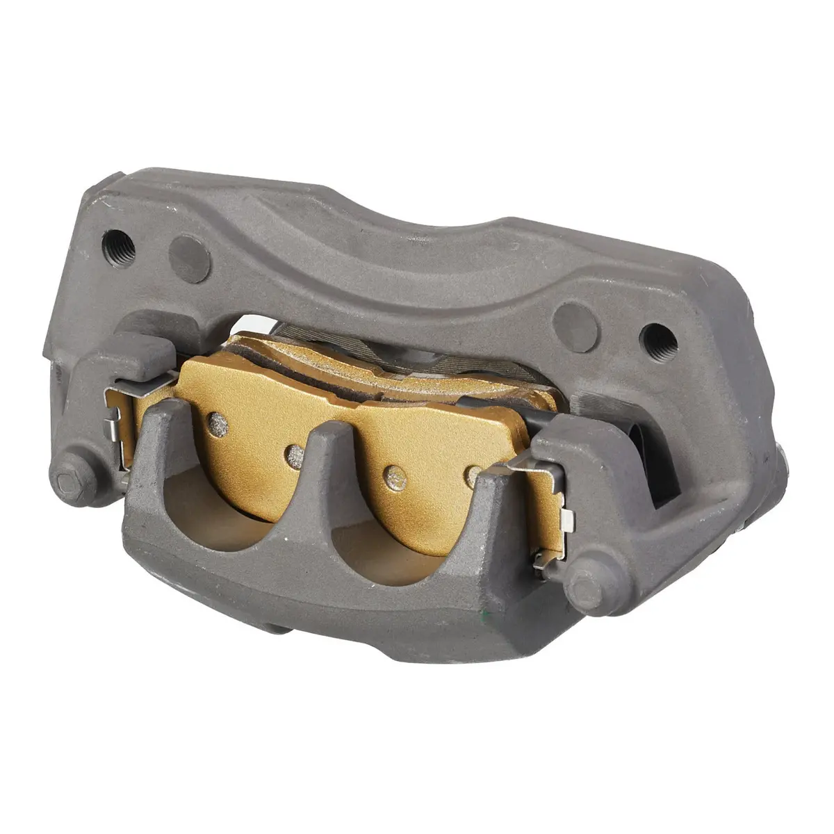 Whites Brake Caliper 1