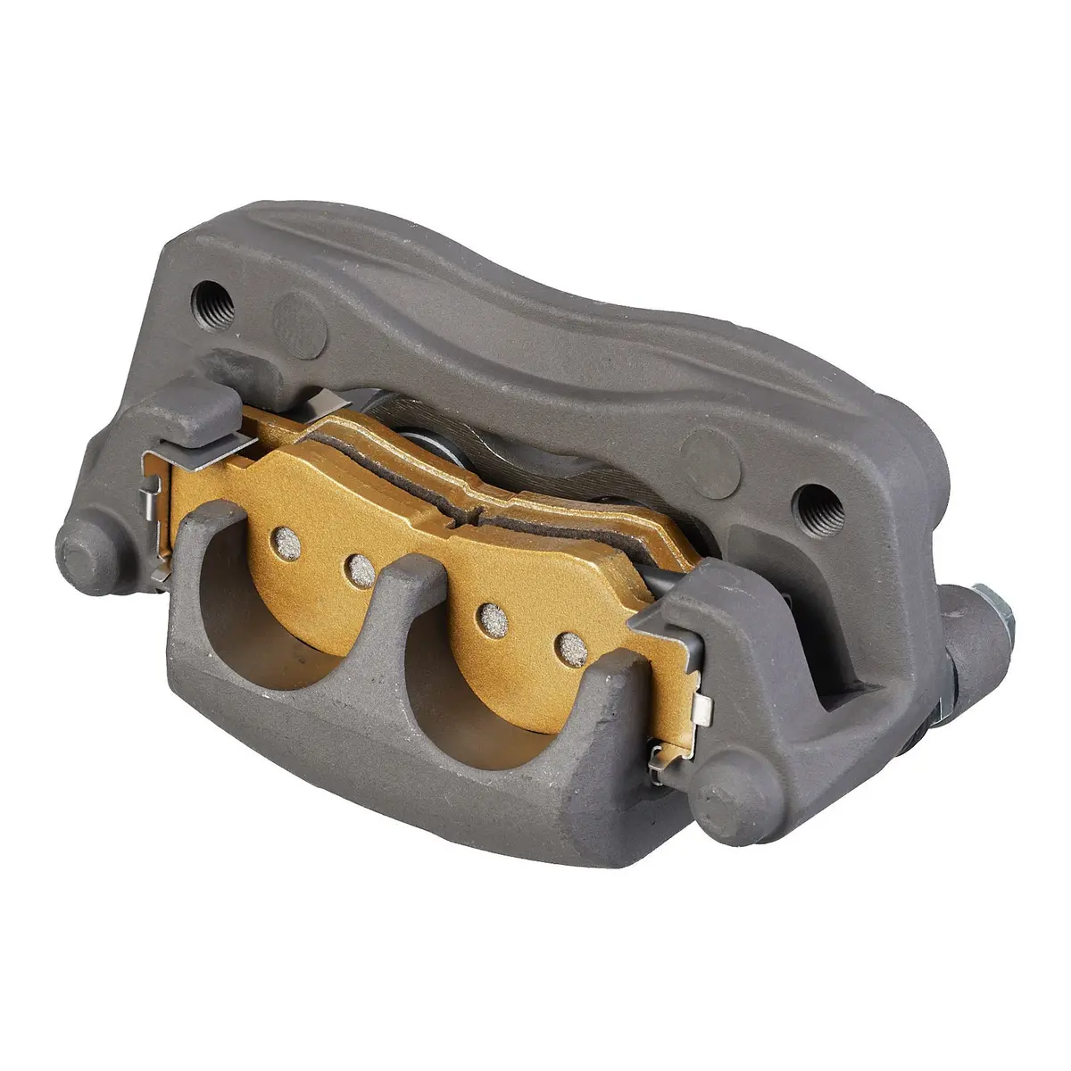 Whites Brake Caliper 1