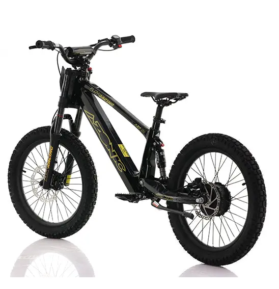 Azonic Flow 20 (Azf-20) - Electric Balance Bike 1